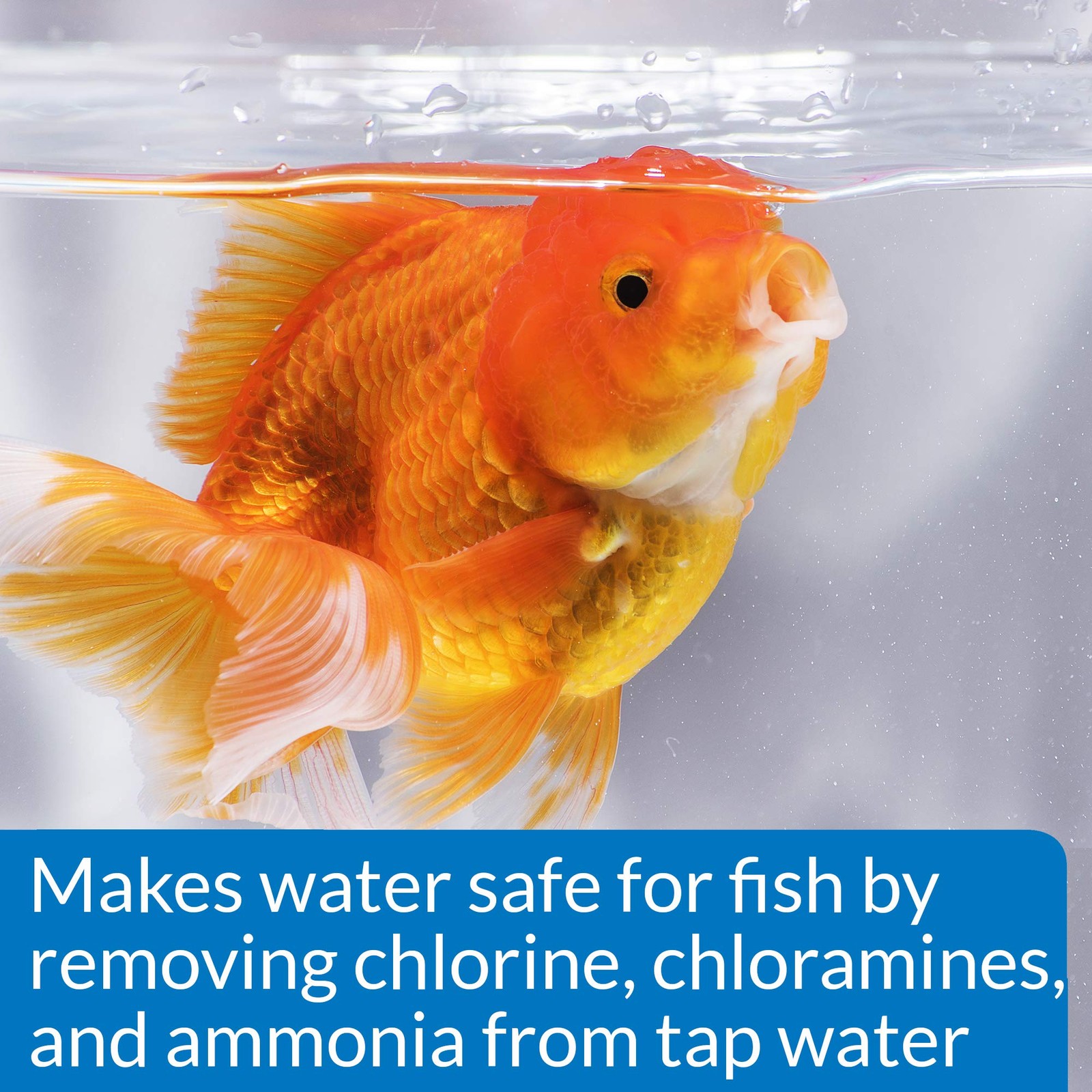 API GOLDFISH AQUARIUM CLEANER Aquarium Cleaner 4-Ounce 4 Ounce bottle, White