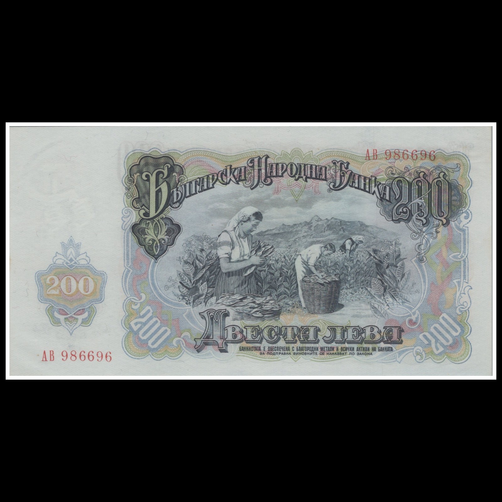 Bulgaria 200 Leva Banknote 1951 Todor Zhivkov Era Tobacco Harvest