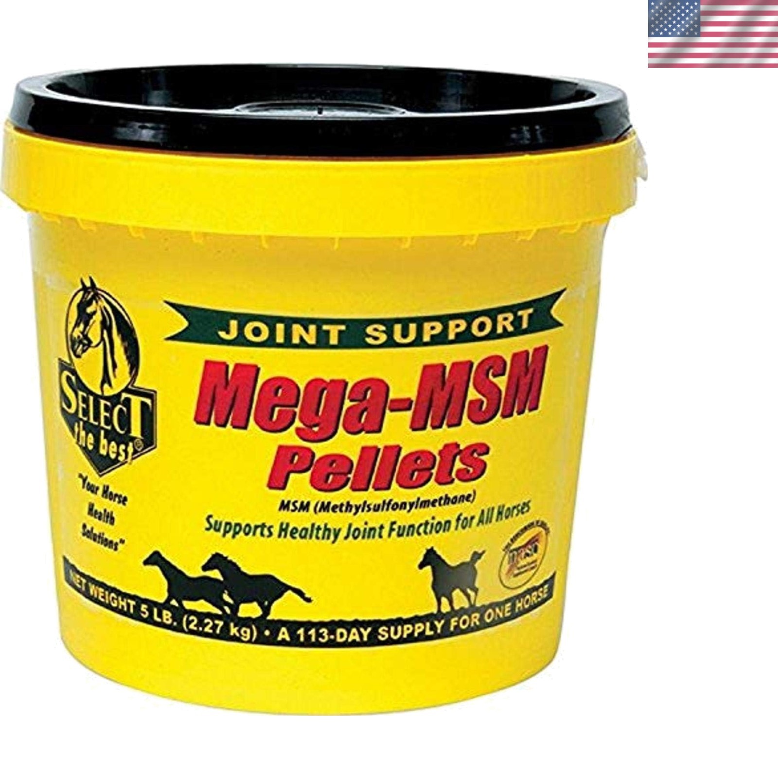 RICHDEL MegaMSM Pellets for Horses, 5.6 Pounds