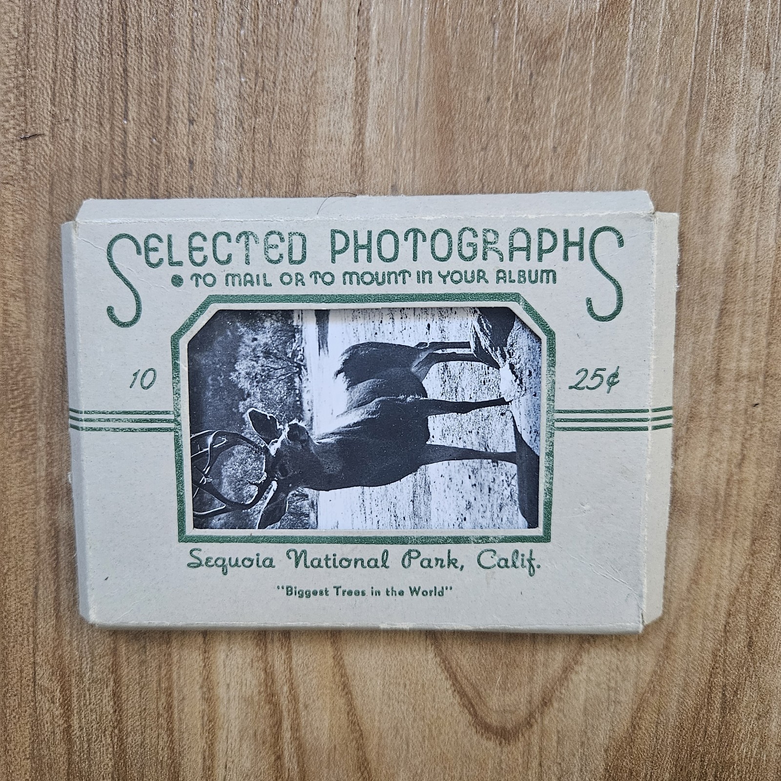 VINTAGE 1950'S SEQUOIA NATL. PARK SELECTED PHOTOGRAPHS SOUVENIR ALBUM 10 PHOTOS
