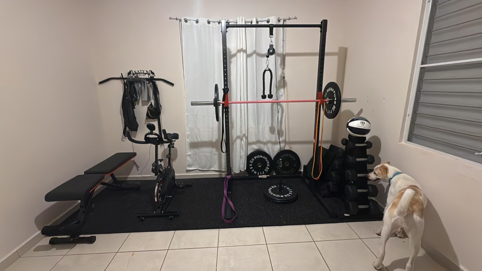 Cable Weight Pulley System - Ideal for Forearm Workouts$