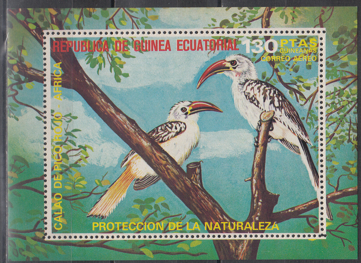 W EQUATORIAL GUINEA 0996-B246 AFRICA BIRDS PERFORATED SOUVENIR SHEET