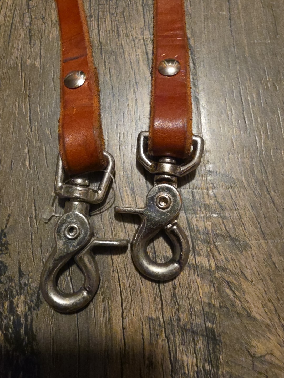 Leather Reins