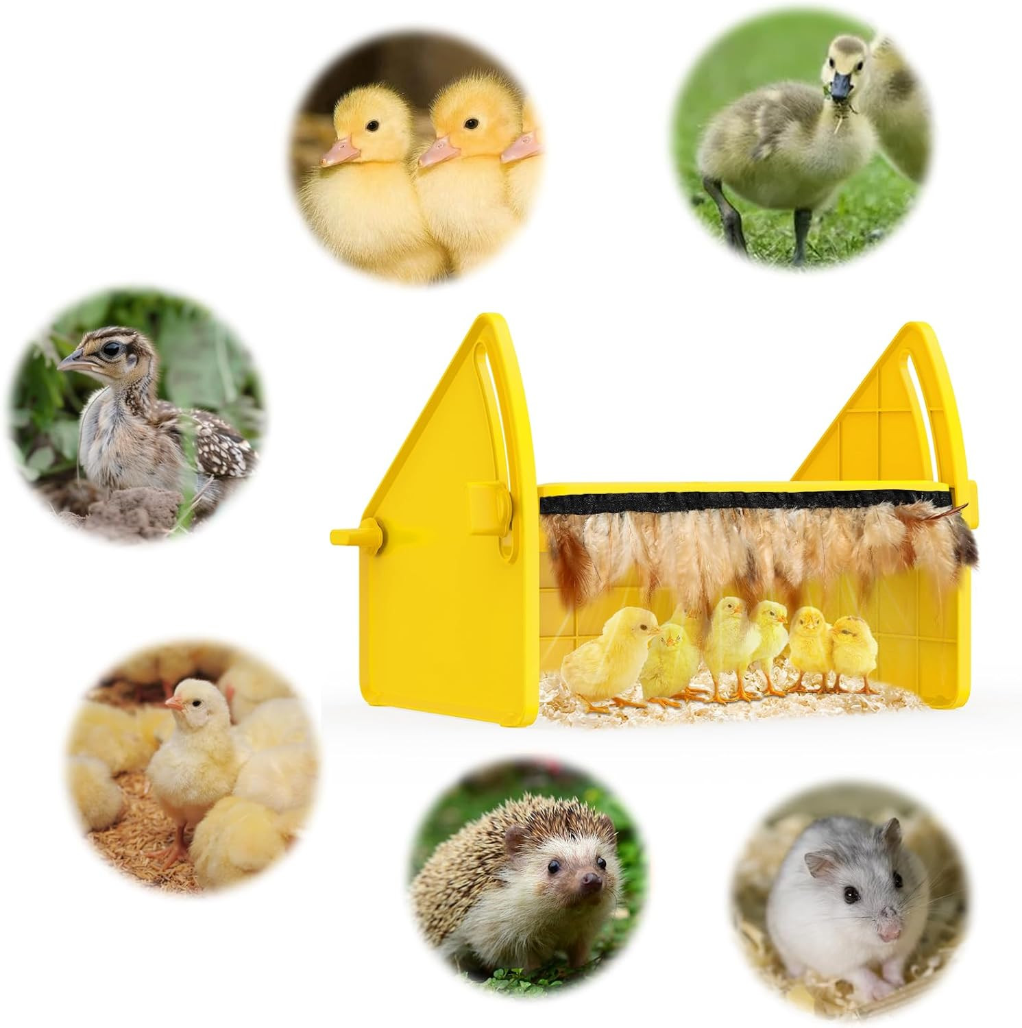Heating Brooder Plate for Chicks Ducklings, Adjustable 3 Levels Temperature Broo