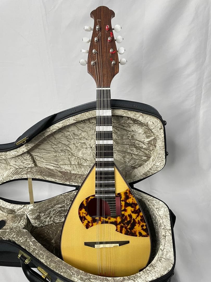 ASTURIAS MS-1bis mandolin with case