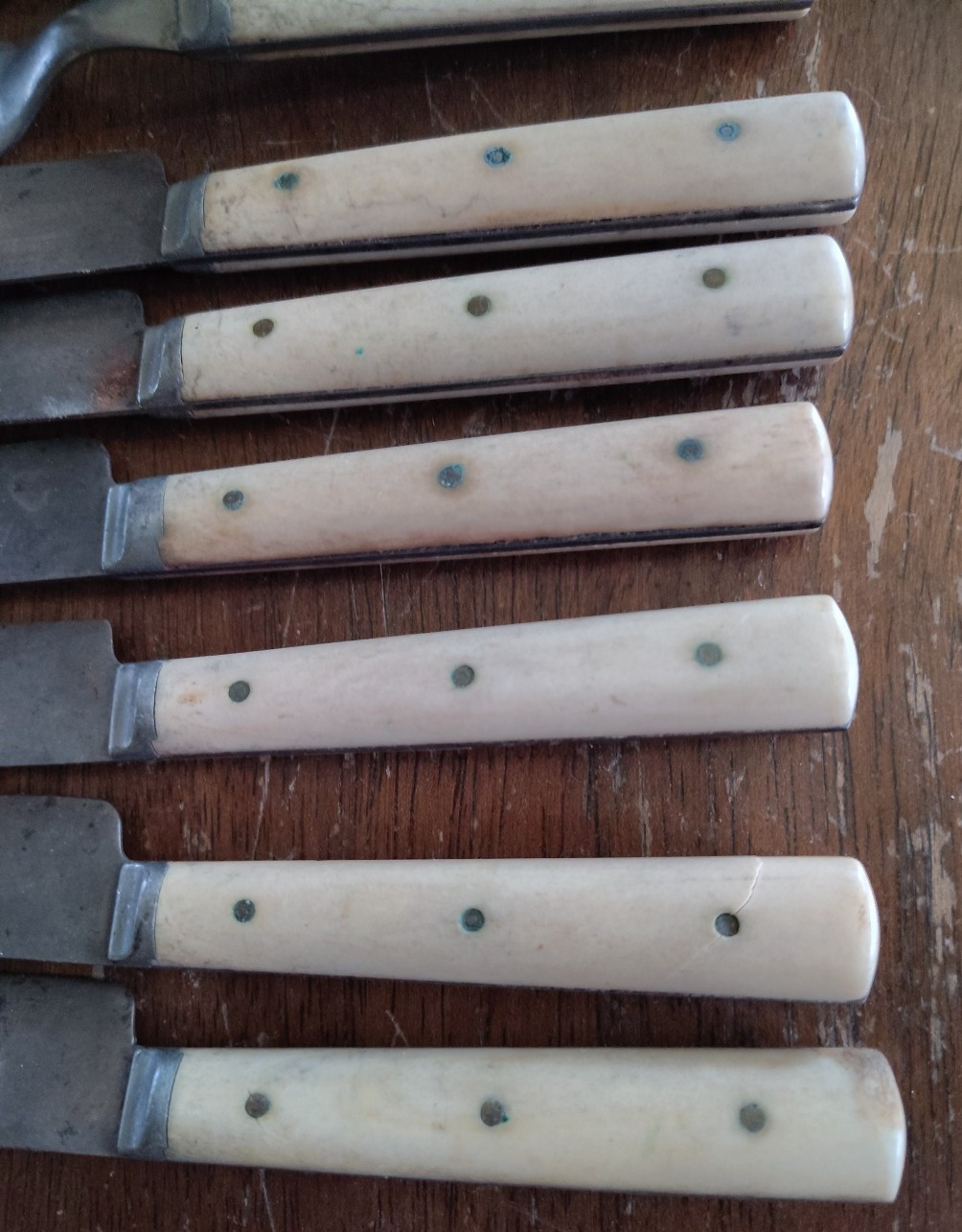 VTG Bone Handle Knife & Fork Set 12 Total Unbranded
