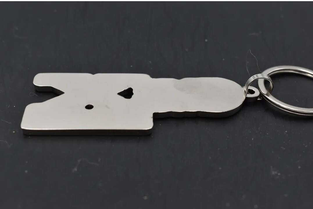 Buick GSX emblem keychains- 37