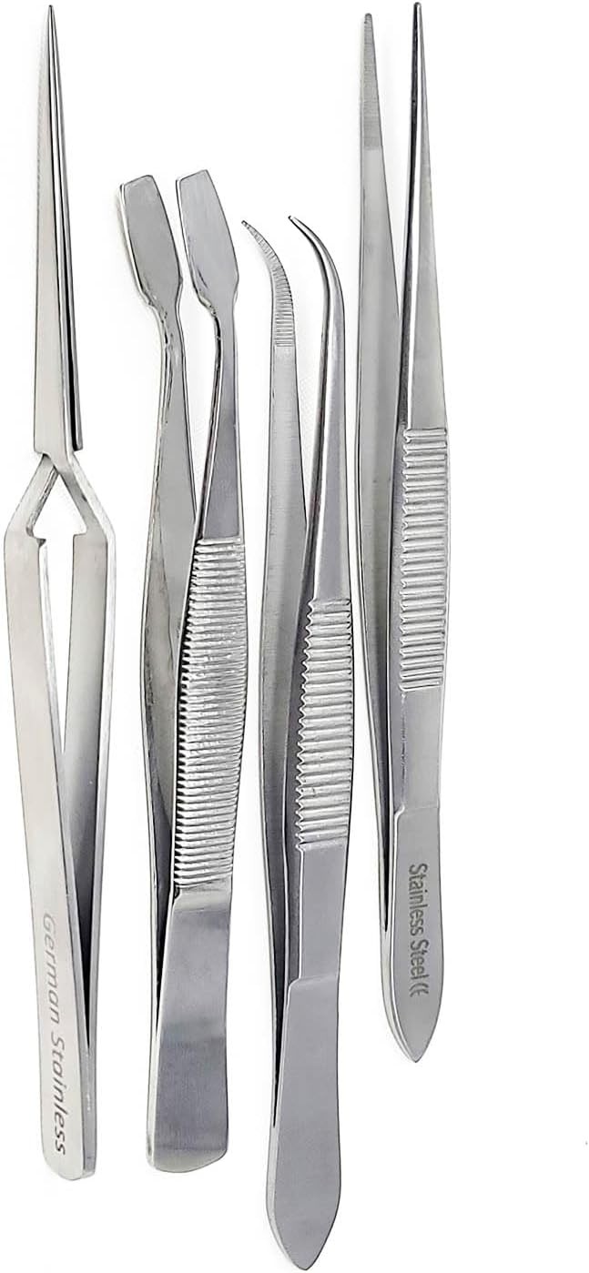4Pcs Entomology Forceps Set Stainless Steel Precision Wide Tip Tweezers