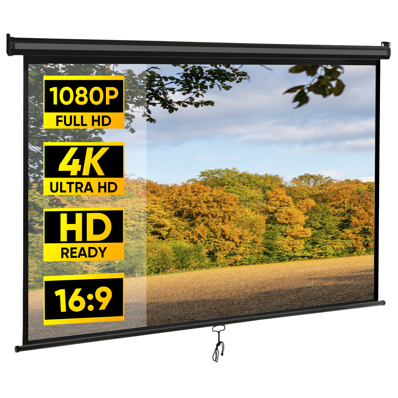 Outdoor Projector Screen Pull Down 80" 16:9 HD Ceiling Projection Screen Black