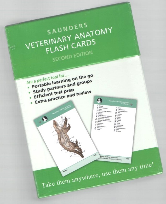 Canine + Feline Veterinary Anatomy Flashcard Set  LFA # 2026 Dog Cat Horse