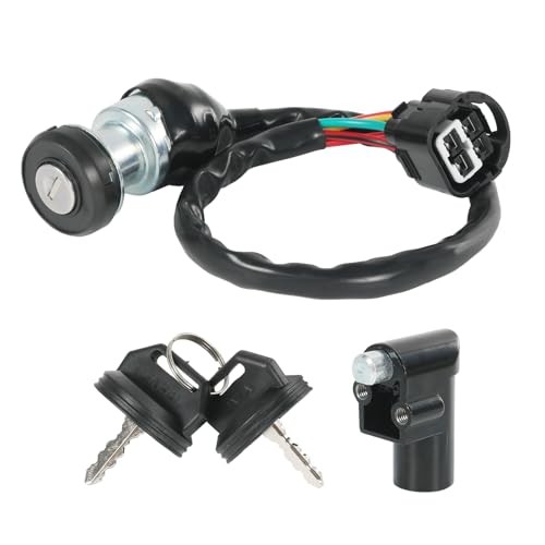 48397 Ignition Switch with Key Assembly Compatible with Massimo Buck 250, 450