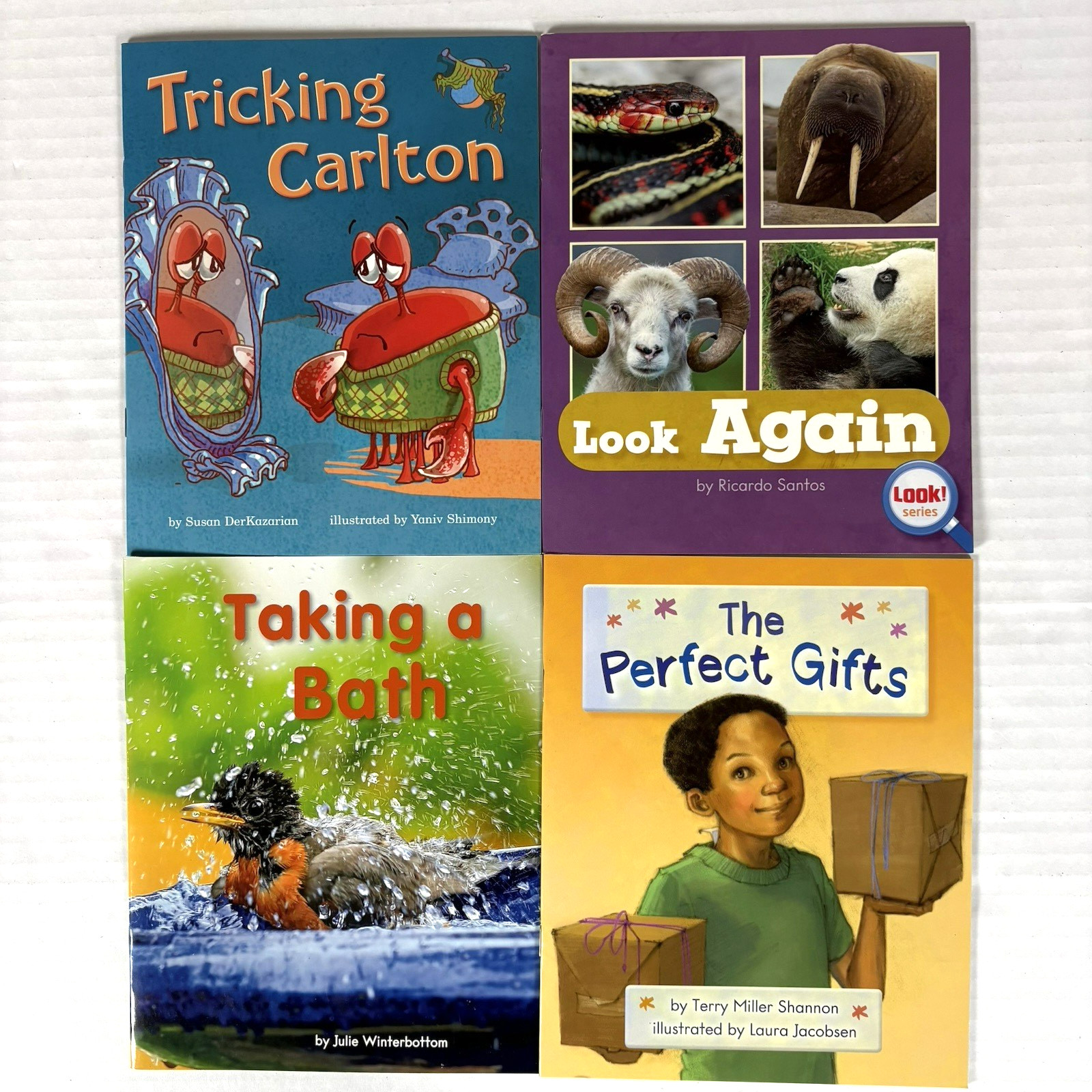 1st Grade Readers Multi-Level Reading Library #3 – 24 Homeschool Books