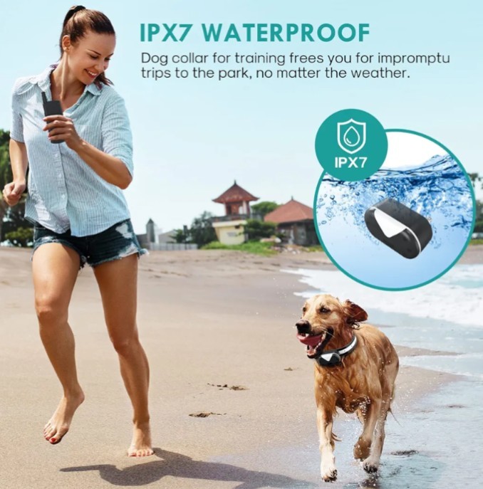 2700 FT Remote Dog Shock Training Collar Rechargeable Waterproof LCD Pet Trainer