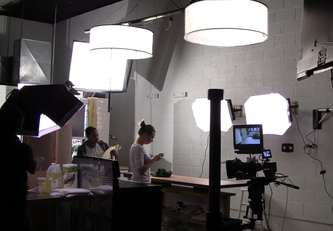 ALZO Drum Overhead Space Light (Without Bulbs)
