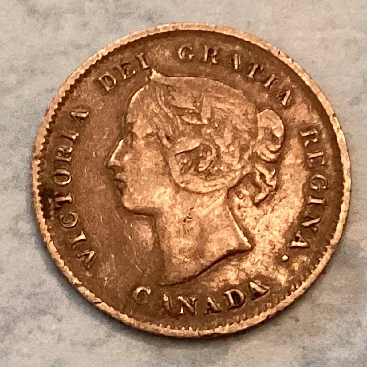 ~ 1896 CANADA VIctoria Five 5 Cents - FREE US SHIPPING -
