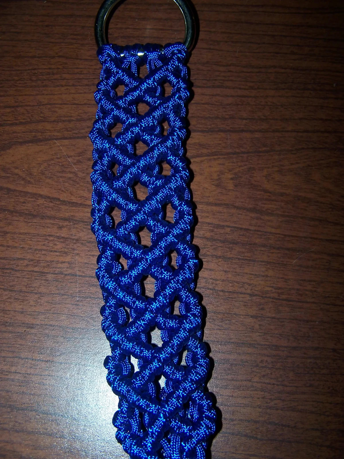 Blue Rein Keeper NEW