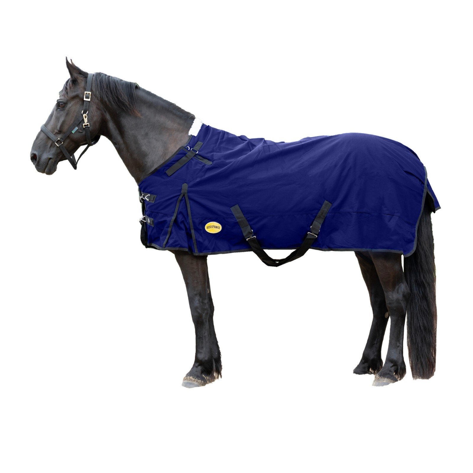 Winter Horse 1680 Denier Turnout Blanket 300 Gram Fill, Double Neck Gusset