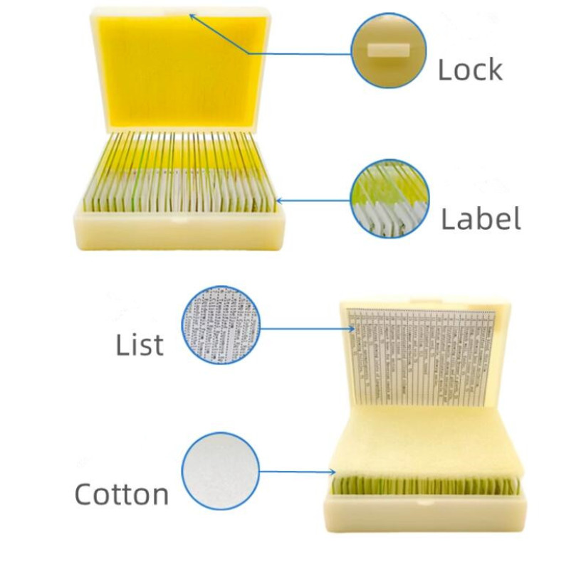 12PCS Fungal Mold Microbial Glass Cell Specimen Microscope Slides