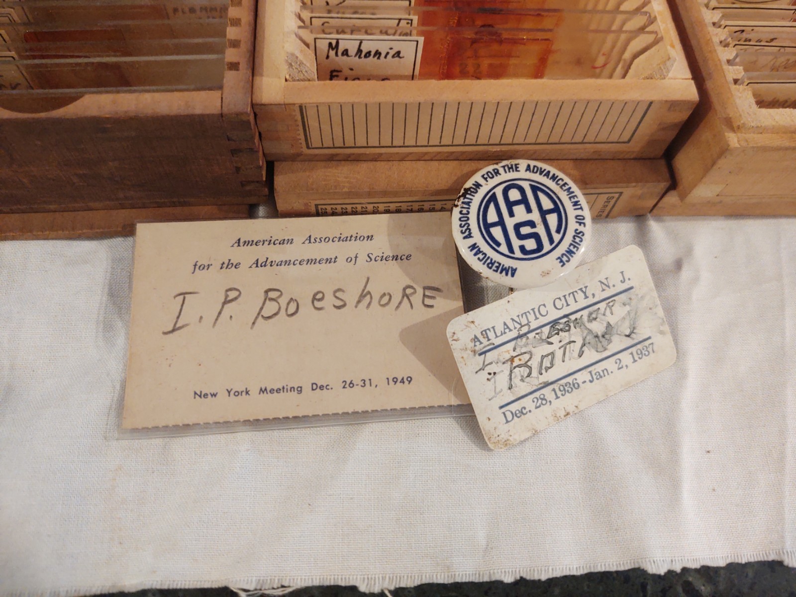1890 Leitz Wetzlar Brass Microscope serial # 16882 & Slides Dr. Irwin Boeshore