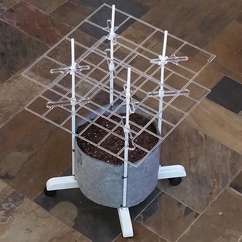 "P SCROG Pro 2 screen kit" using a Smart Pot (fits most containers)