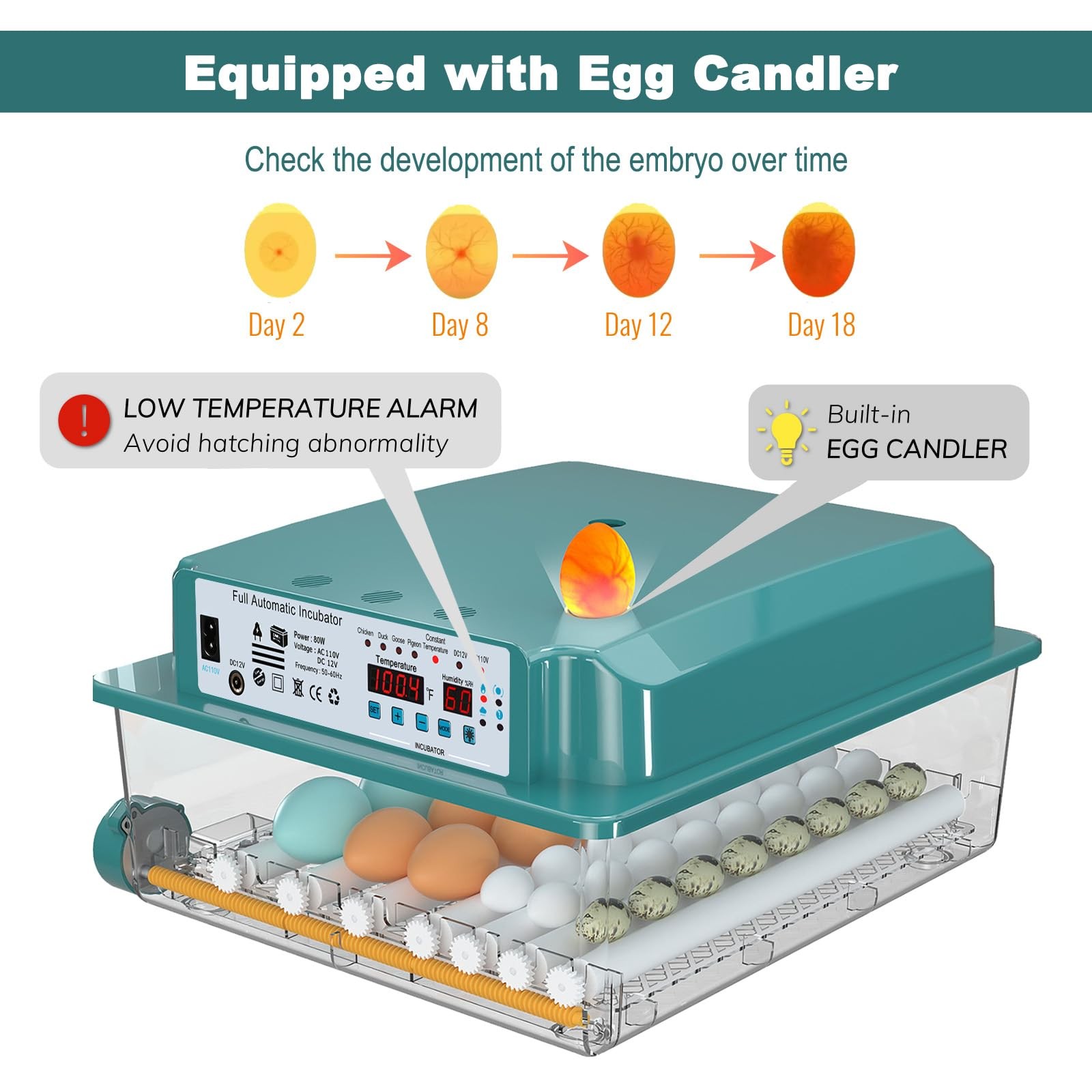 Coinceptus Incubators Hatching 36 Eggs Automatic Egg Turning And Humidity