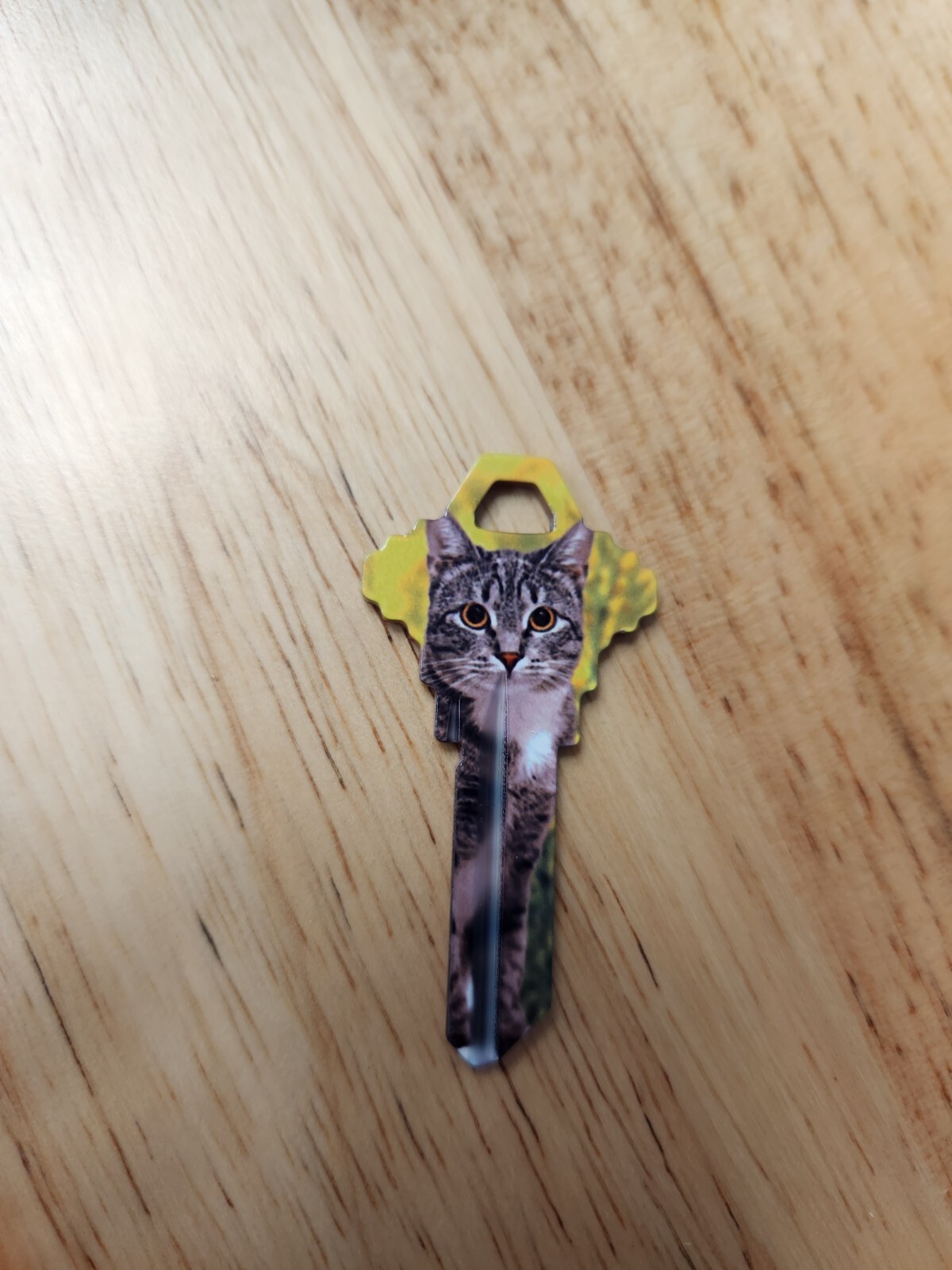 SILVER TABBY CAT PRINTED SCHLAGE SC1 KEYBLANK - READ DETAILS BELOW