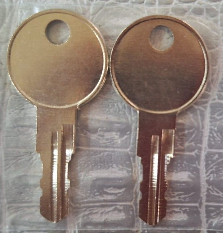 A00-A24 Two keys for DeWalt Tool Box Home Depot Toolbox Key cut to code A00-A24
