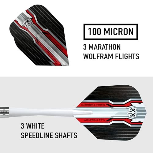 Wolfram Dart Set 24gm
