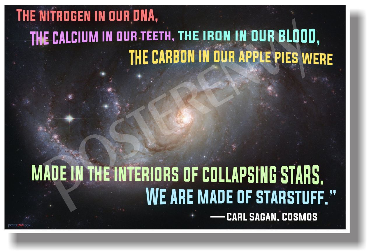 The Nitrogen in our DNA... Carl Sagan - NEW Motivational POSTER (cm1188)