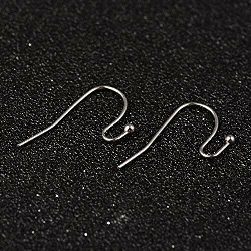 10 Fish Hook Earwires Stainless Steel Lever Ear Wires Earring Findings Silver