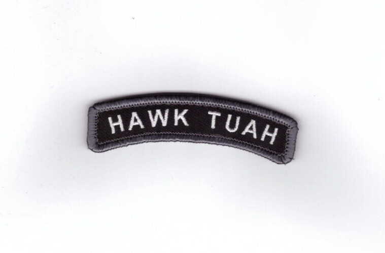 Hawk Spit Tuah on That thing meme Patch iron on
