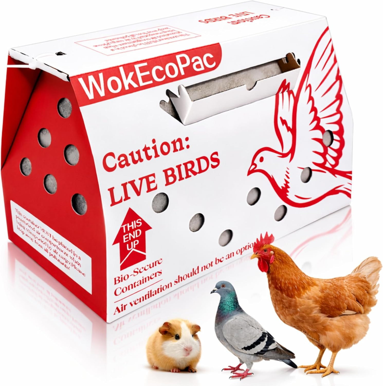 6 Pack Poultry Shipping Boxes, Live Bird Shipping Boxes, Poultry Carrier Crate H