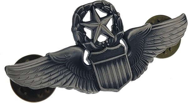 USAF US Air Force Command Pilot Wings Badge Insignia Oxidized 2" Size