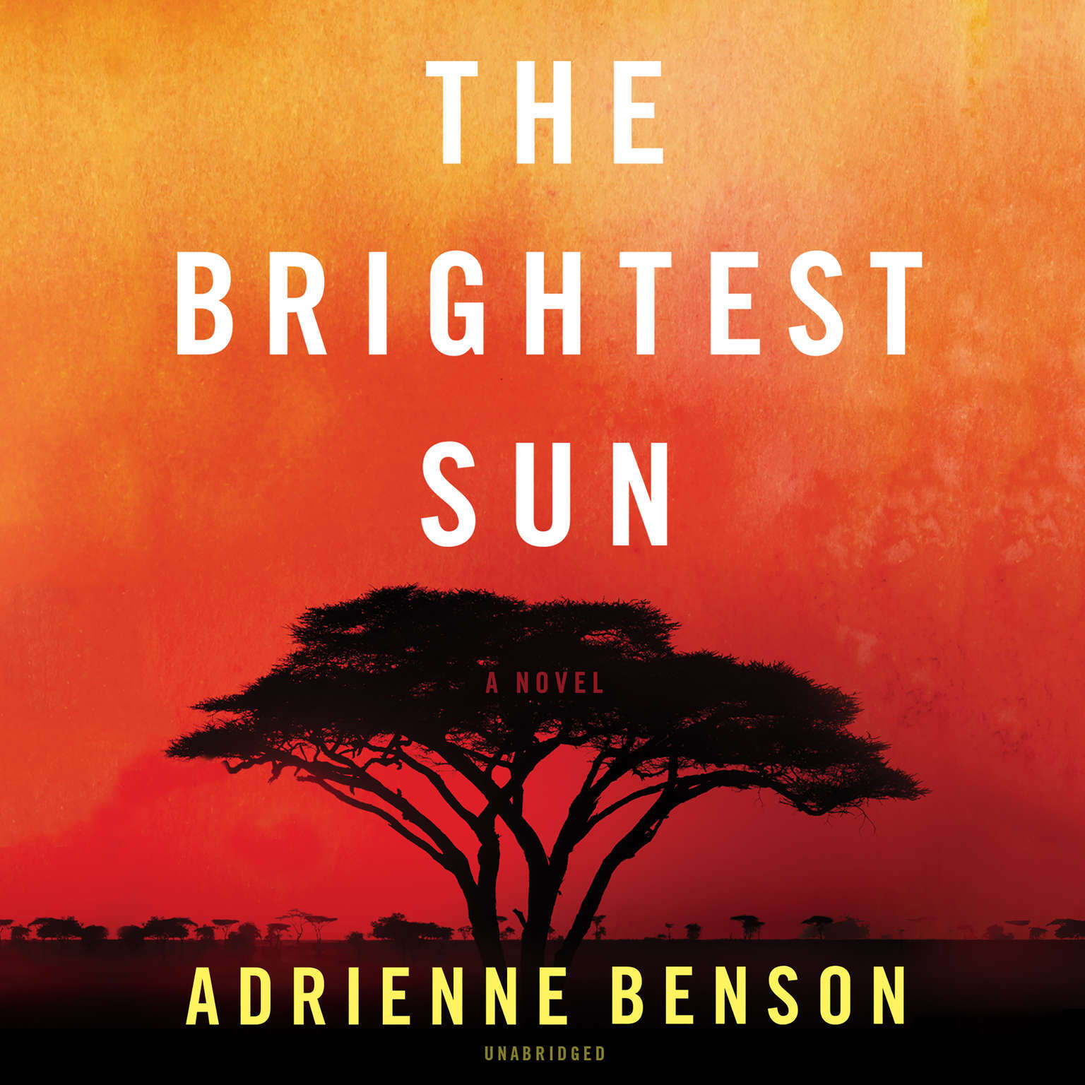 The Brightest Sun by Adrienne Benson 2018 Unabridged CD 9781538510308