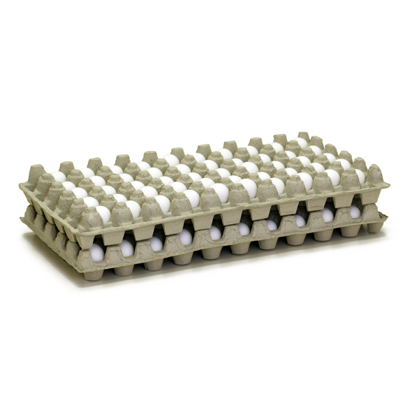 0230 - Chukar Egg Trays Carboard Cartons (Pkg. 100)