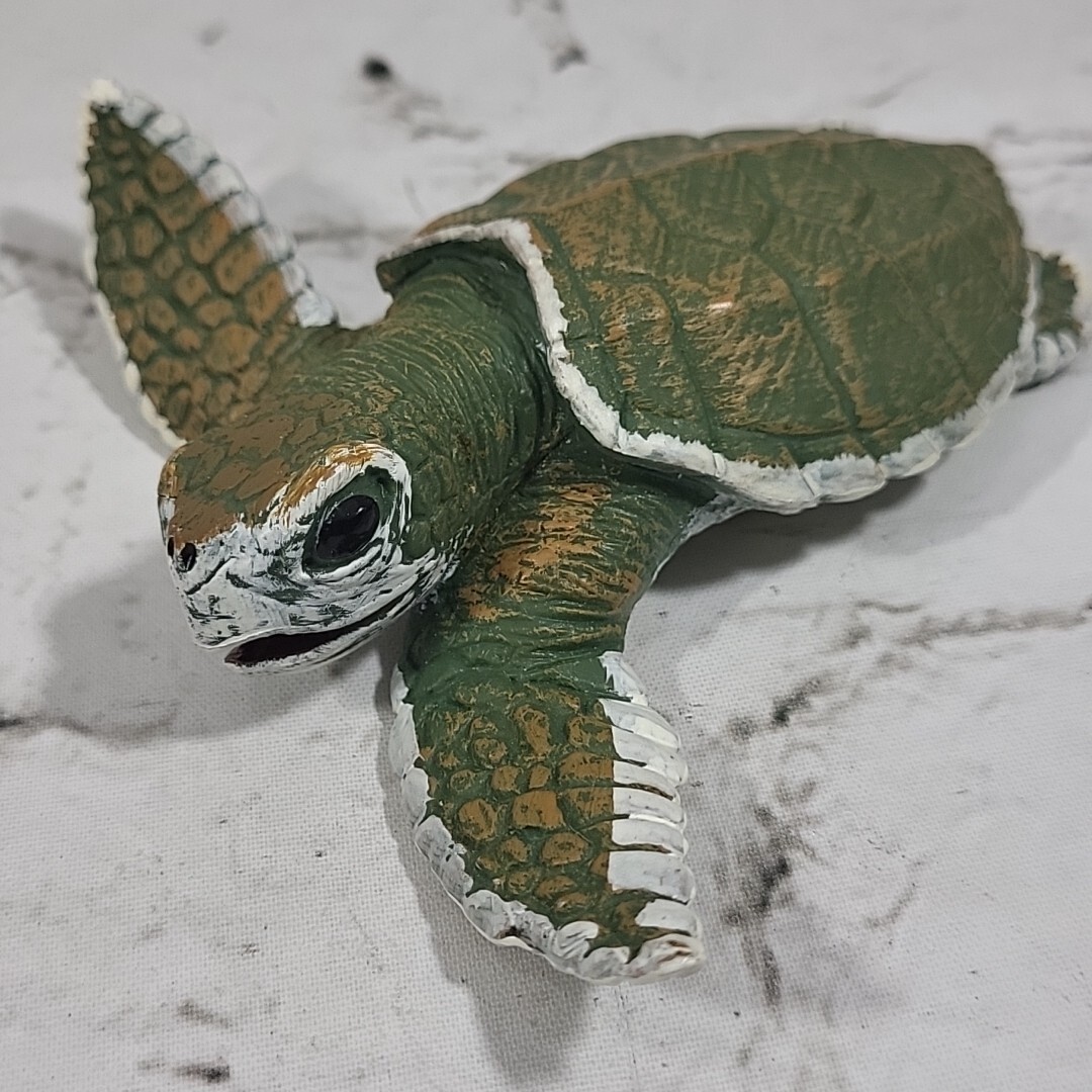 Safari Ltd Sea Turtle Baby Hatchling Figure Lifelike To Scale Nature Animal 2006