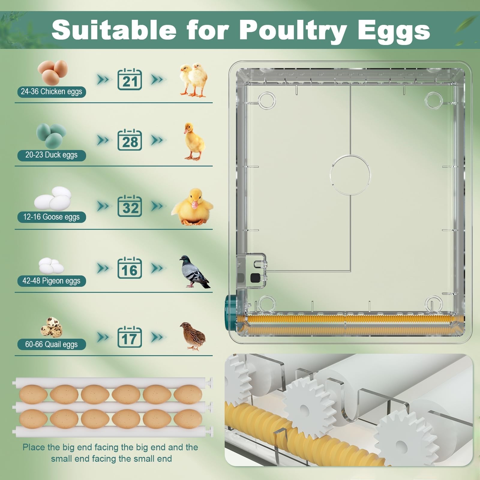 36 Egg Incubator for Hatching, Automatic Turning, Humidity Display, Quail & Chic