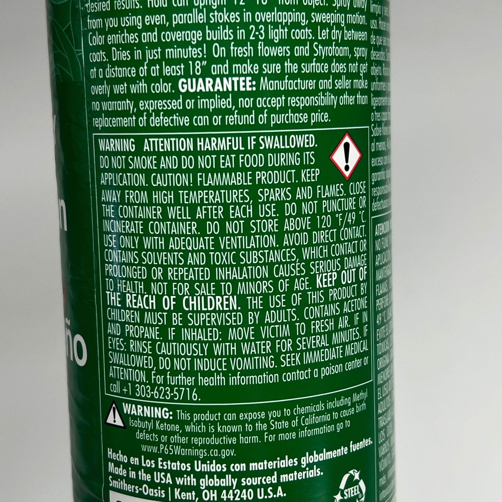 DESIGN MASTER (2 PACK) Colortool Spray Surface Color 12oz Holiday Green 717