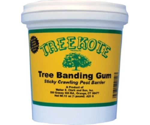 (12) ea Treekote 300716 15 oz Tree Banding Gum Sticky Insect Pest Barrier