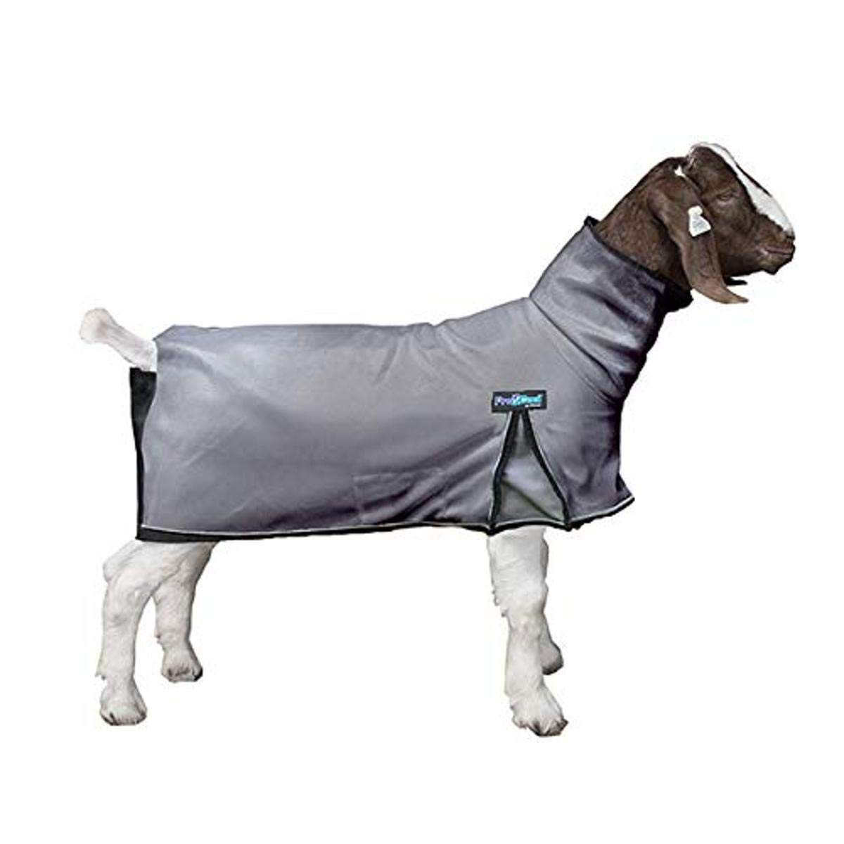 ProCool Goat Blanket, Small, Gray, UVA/UVB Protection, Reflective Piping
