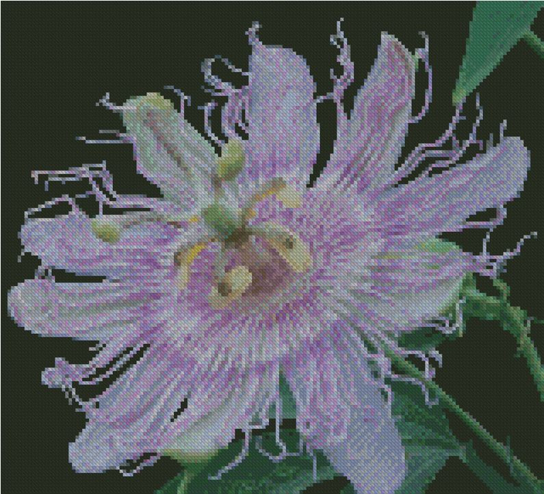 Passion Flower Counted Cross Stitch CHART No.20-122