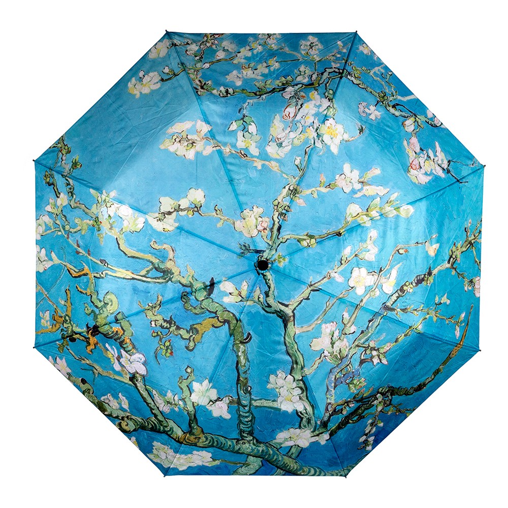 Clifton Auto Open Umbrella Almond