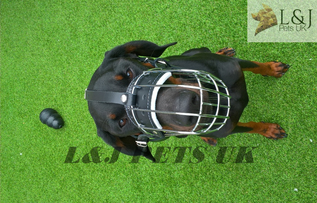 Durable Metal Wire Basket Dog Muzzle | Doberman , Malinois and Similar Dogs