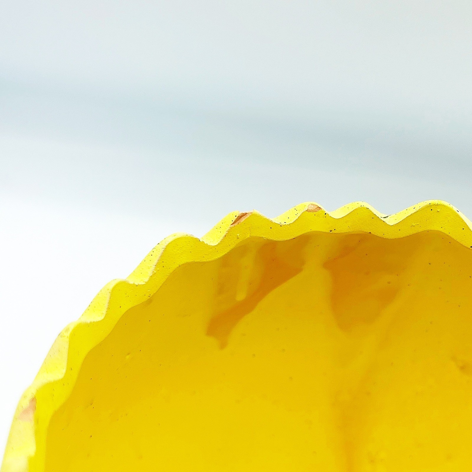 Yellow Cracked Egg Planter with Nest Base 5" H
