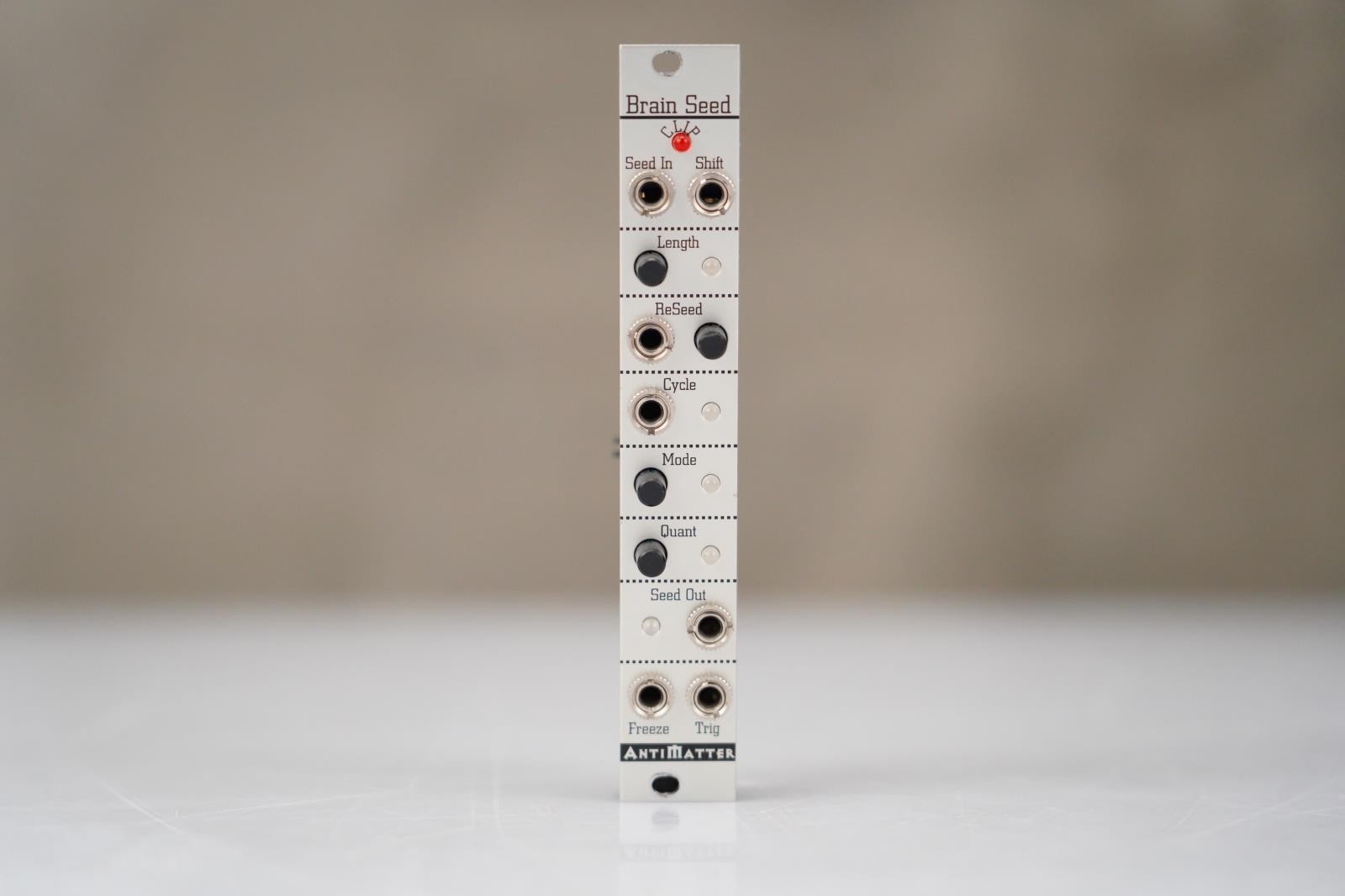 Antimatter Brain Seed Eurorack Module #58470
