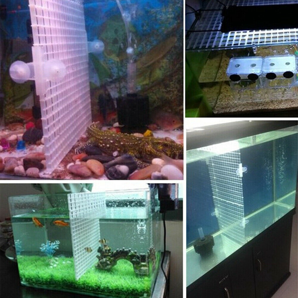 Mesh divider plate plastic divider filter isolation net fish tank bottom
