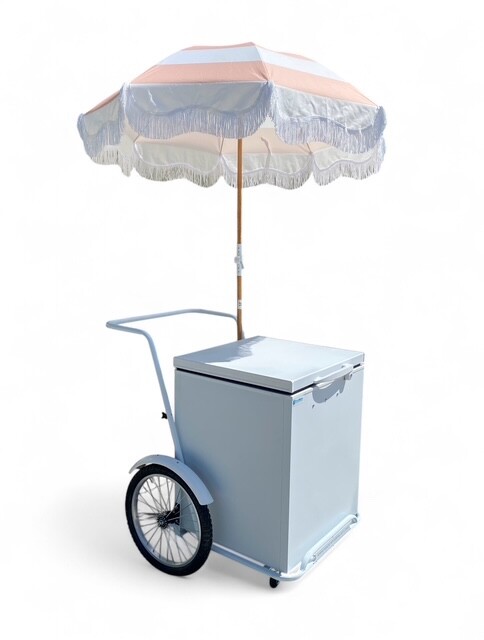 GELATO CART Electric Cart ICE CREAM ELECTRIC CART FREEZER Gelato Push Cart