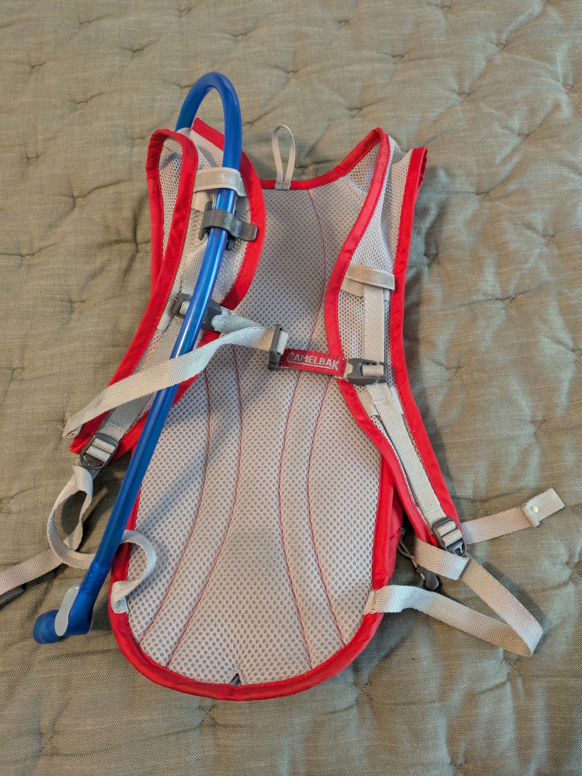 camelbak classic hydration pack red lollapalooza