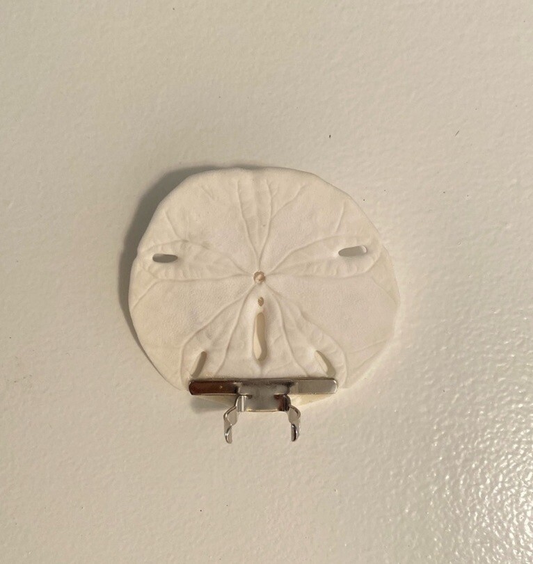 Hand-Crafted Real Sand Dollar Night Light