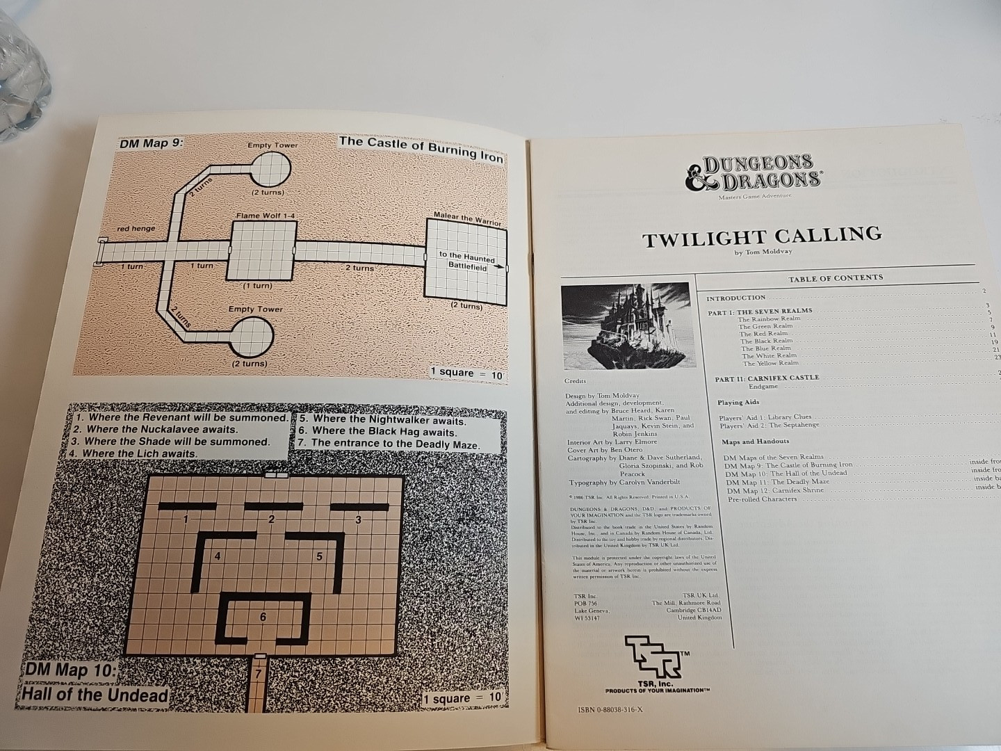 M3 Twilight Calling D&D Mystara Module TSR 9174